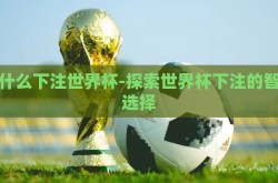 用什么下注世界杯-探索世界杯下注的智慧选择