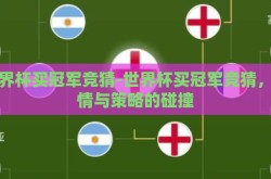 世界杯买冠军竞猜-世界杯买冠军竞猜，激情与策略的碰撞