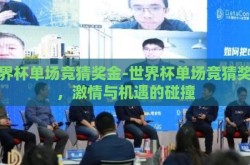 世界杯单场竞猜奖金-世界杯单场竞猜奖金，激情与机遇的碰撞