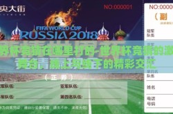 世界杯竞猜在哪里打的-世界杯竞猜的激情舞台，线上与线下的精彩交汇