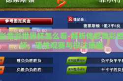 体彩竞彩世界杯怎么看-解析体彩竞彩世界杯，理性观赛与投注策略