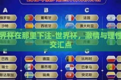 世界杯在那里下注-世界杯，激情与理性的交汇点