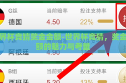 世界杯竞猜奖金金额-世界杯竞猜，奖金金额的魅力与考量