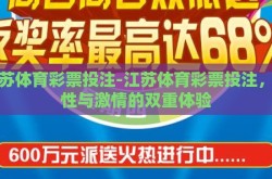江苏体育彩票投注-江苏体育彩票投注，理性与激情的双重体验