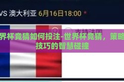 世界杯竞猜如何投注-世界杯竞猜，策略与技巧的智慧碰撞