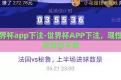 世界杯app下注-世界杯APP下注，理性与激情的平衡