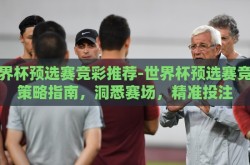 世界杯预选赛竞彩推荐-世界杯预选赛竞彩策略指南，洞悉赛场，精准投注