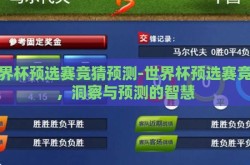 世界杯预选赛竞猜预测-世界杯预选赛竞猜，洞察与预测的智慧