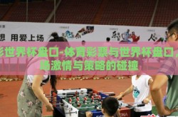 体彩世界杯盘口-体育彩票与世界杯盘口，一场激情与策略的碰撞