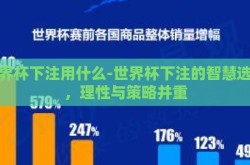 世界杯下注用什么-世界杯下注的智慧选择，理性与策略并重