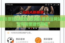 体育彩票投注网站-体育彩票投注网站的多元化与便捷性探索