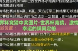 世界杯竞猜中奖图片-世界杯竞猜，激情与幸运的瞬间定格
