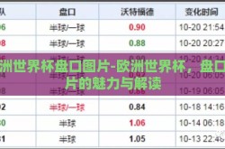 欧洲世界杯盘口图片-欧洲世界杯，盘口图片的魅力与解读