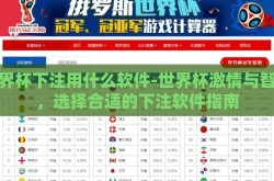 世界杯下注用什么软件-世界杯激情与智慧，选择合适的下注软件指南