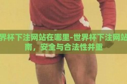 世界杯下注网站在哪里-世界杯下注网站指南，安全与合法性并重