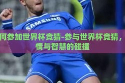 如何参加世界杯竞猜-参与世界杯竞猜，激情与智慧的碰撞