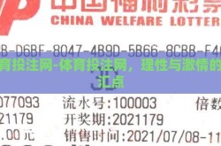 体育投注网-体育投注网，理性与激情的交汇点