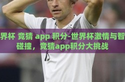 世界杯 竞猜 app 积分-世界杯激情与智慧碰撞，竞猜app积分大挑战