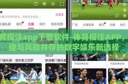 体育投注app下载软件-体育投注APP，便捷与风险并存的数字娱乐新选择
