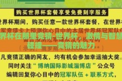 世界杯在那里竞猜-世界杯，激情与智慧的碰撞——竞猜的魅力
