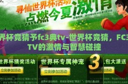 世界杯竞猜予fc3典tv-世界杯竞猜，FC3典TV的激情与智慧碰撞