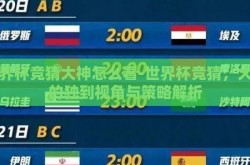 世界杯竞猜大神怎么看-世界杯竞猜，大神的独到视角与策略解析