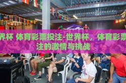 世界杯 体育彩票投注-世界杯，体育彩票投注的激情与挑战
