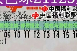体育投注类-体育投注，理性与激情的交织