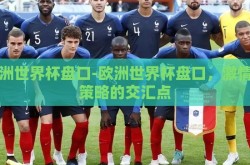 欧洲世界杯盘口-欧洲世界杯盘口，激情与策略的交汇点
