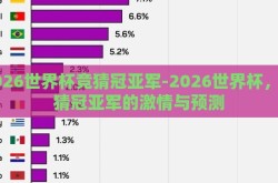 2026世界杯竞猜冠亚军-2026世界杯，竞猜冠亚军的激情与预测