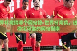 世界杯竞猜哪个网站稳-世界杯竞猜，选择稳定可靠的网站指南