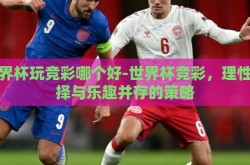 世界杯玩竞彩哪个好-世界杯竞彩，理性选择与乐趣并存的策略