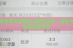 竞猜世界杯后停售-竞猜世界杯，激情与理性的短暂交锋