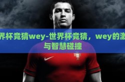 世界杯竞猜wey-世界杯竞猜，wey的激情与智慧碰撞
