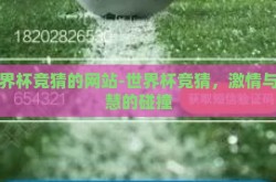 世界杯竞猜的网站-世界杯竞猜，激情与智慧的碰撞