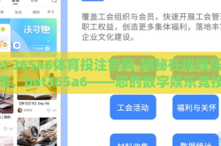 bet 365a6体育投注官网-揭秘在线娱乐新风尚，bet365a6——您的数字娱乐竞技首选平台