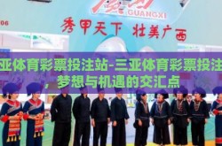 三亚体育彩票投注站-三亚体育彩票投注站，梦想与机遇的交汇点