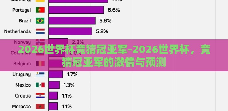 2026世界杯竞猜冠亚军-2026世界杯，竞猜冠亚军的激情与预测