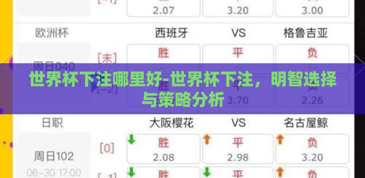 世界杯下注哪里好-世界杯下注，明智选择与策略分析