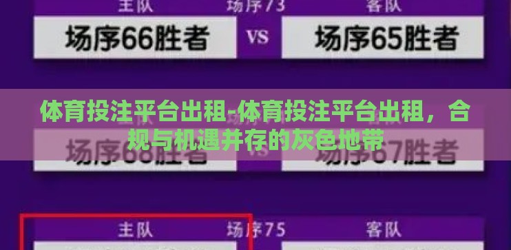 体育投注平台出租-体育投注平台出租，合规与机遇并存的灰色地带