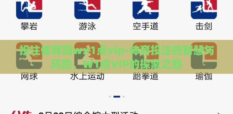 投注体育蹈wх1点vip-体育投注的智慧与风险，W1点VIP的探索之旅