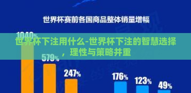 世界杯下注用什么-世界杯下注的智慧选择，理性与策略并重