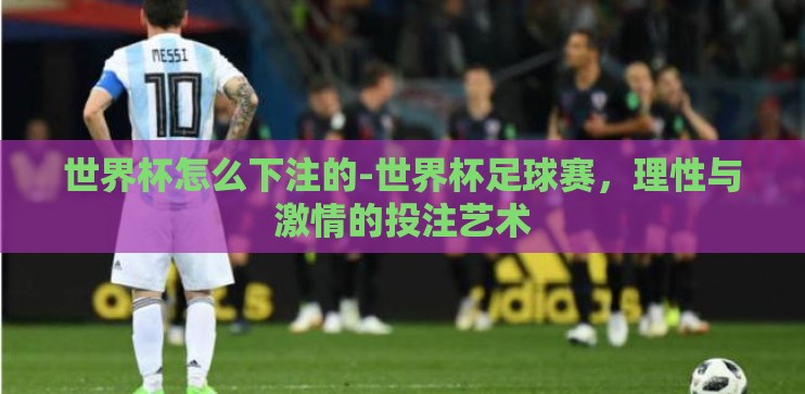 世界杯怎么下注的-世界杯足球赛，理性与激情的投注艺术