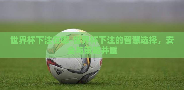 世界杯下注在哪-世界杯下注的智慧选择，安全与策略并重