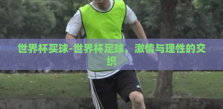 世界杯买球-世界杯足球,激情与理性的交织 世界杯买球-世界杯足球,激情与理性的交织