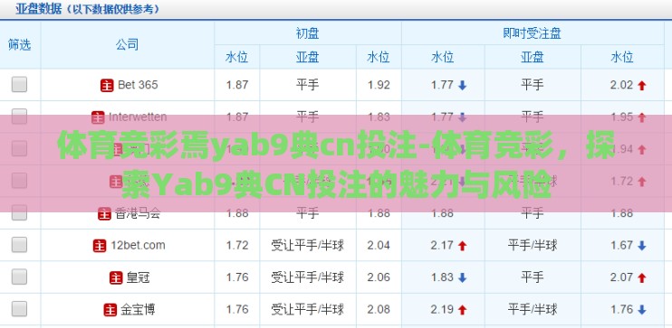 体育竞彩焉yab9典cn投注-体育竞彩，探索Yab9典CN投注的魅力与风险