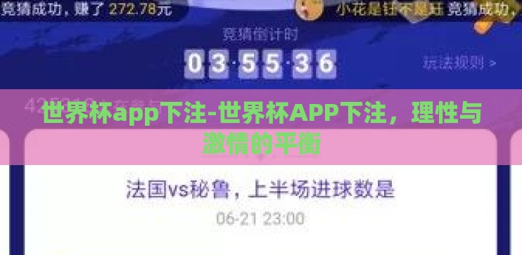 世界杯app下注-世界杯APP下注，理性与激情的平衡
