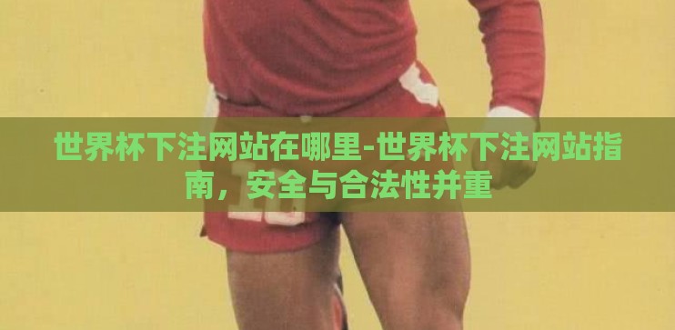 世界杯下注网站在哪里-世界杯下注网站指南,安全与合法性并重 世界杯下注网站在哪里-世界杯下注网站指南,安全与合法性并重