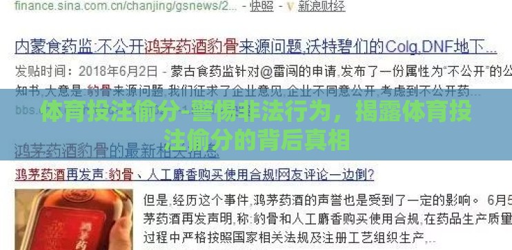 体育投注偷分-警惕非法行为，揭露体育投注偷分的背后真相