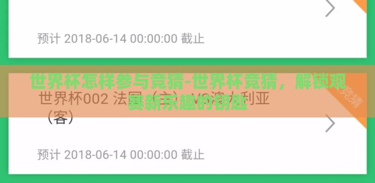 世界杯怎样参与竞猜-世界杯竞猜，解锁观赛新乐趣的钥匙